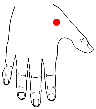 Hand Point for Pain